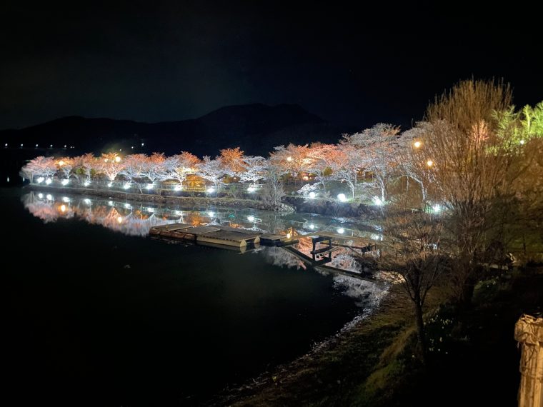 恵那峡の桜　～夜はライトアップもやってます