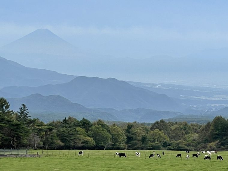 まるで水墨画　～小淵沢から見た富士山！