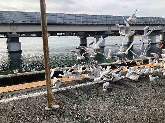 鉄分補給の為、浜名湖に行ってきました。