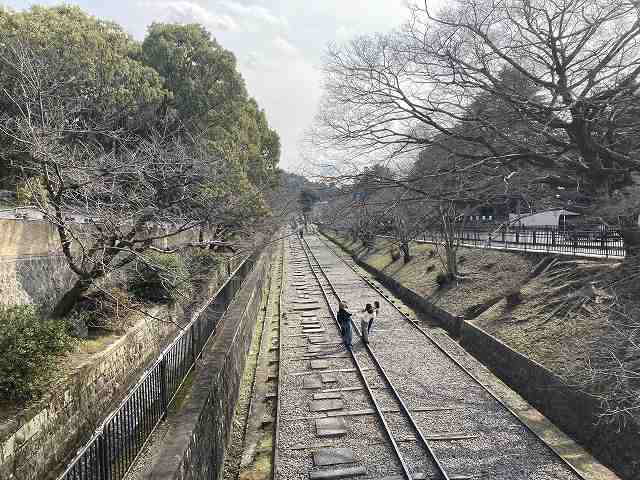 春の京都散策