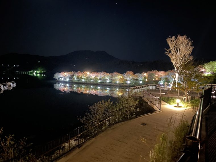 恵那峡夜桜ライトアップ