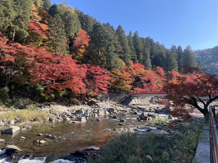 香嵐渓で紅葉狩り