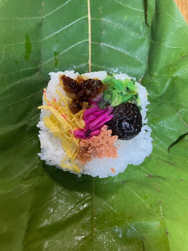 くらたのほう葉寿司始まりました!