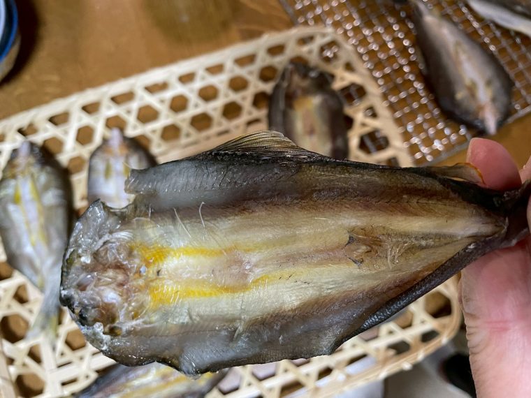 地元で釣った鮎の一夜干しを作ってみた!