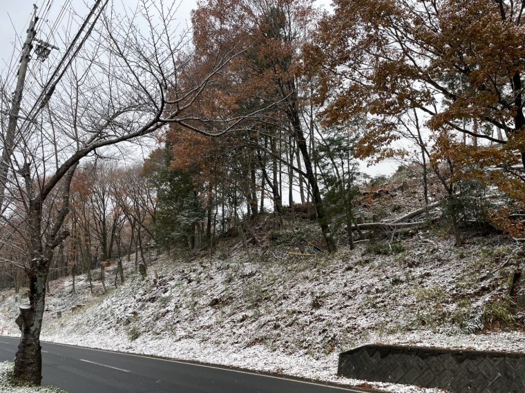 遂に今シーズン初雪！