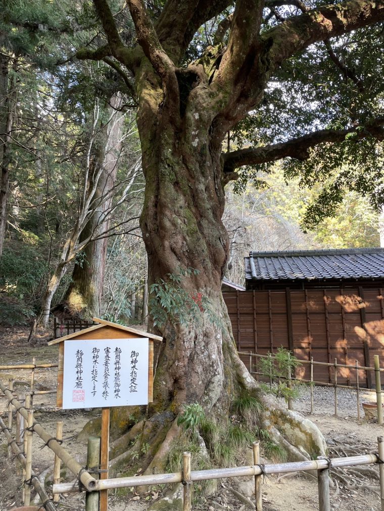 小國神社を初参拝　～やっとお礼参りが出来た