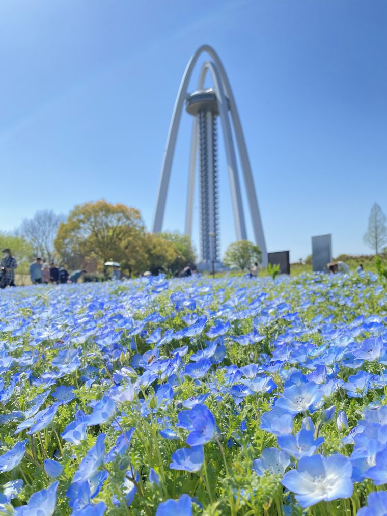 木曽三川公園へ行ってきました
