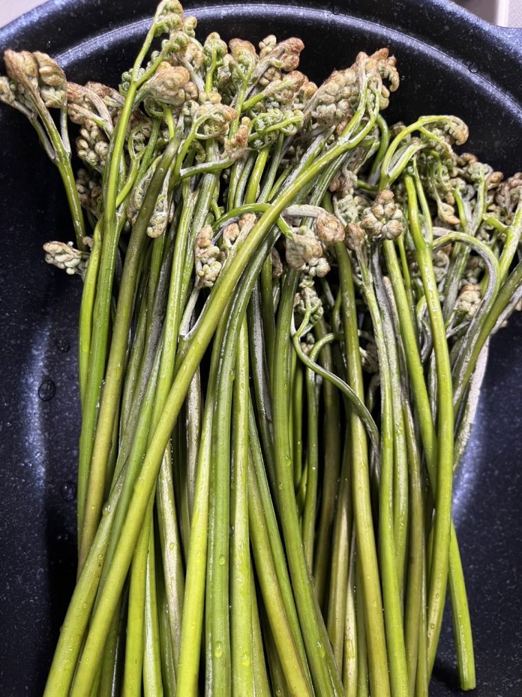 ご近所さんに感謝。　～春ご飯でしあわせ！