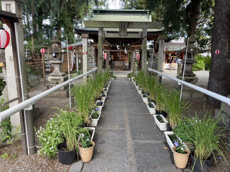西宮神社は福を呼び込むえびす神社！