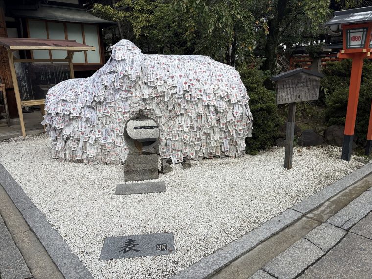 京都市内を散策してきました